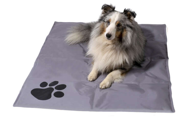 dobar Kühlmatte für Hunde mit Pfotenprint